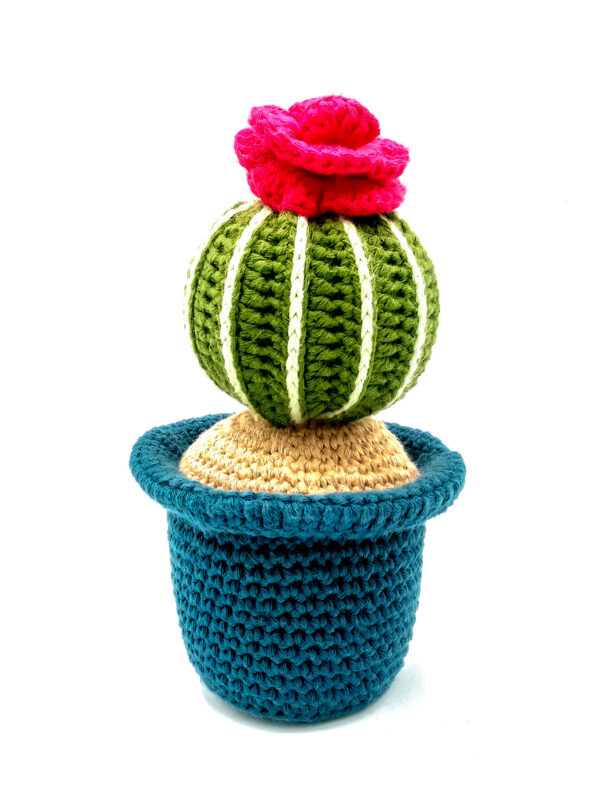 amigurumi cactus flor maxi